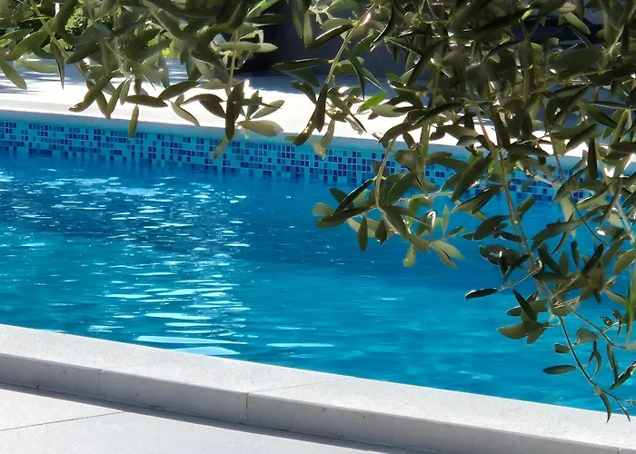 Visum فيلة زادار